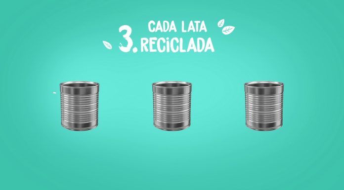 reciclando latas